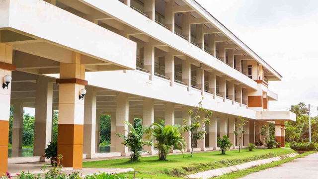 Ilustrasi gedung sekolah. Foto: Shutter Stock