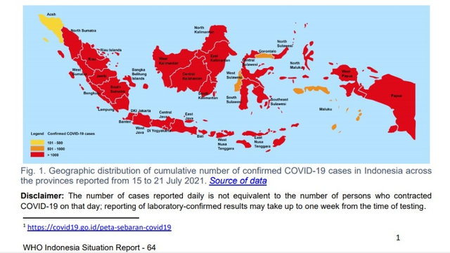 Dok. WHO Indonesia Situation Report-64