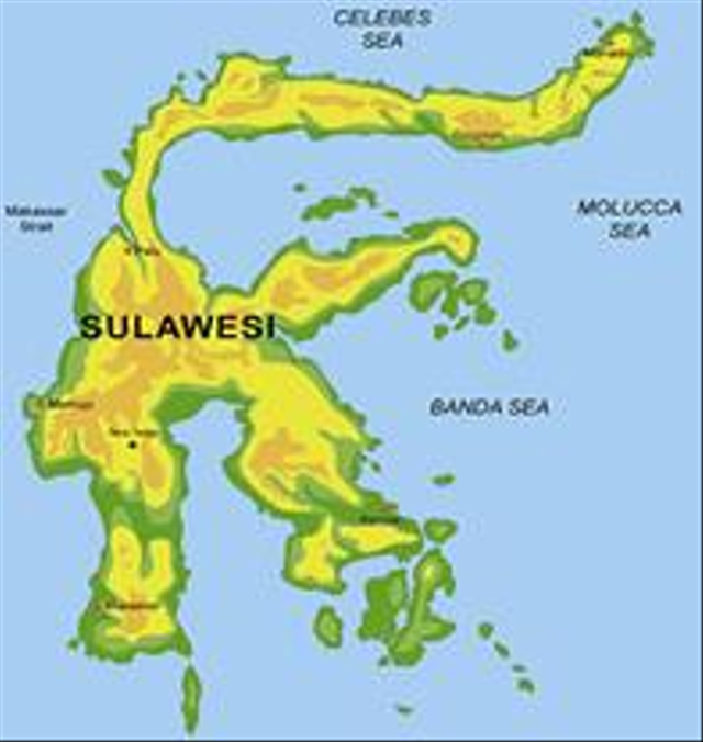 Ilustrasi peta Pulau Sulawesi. sumber: https://petabudaya.belajar.kemdikbud.go.id/