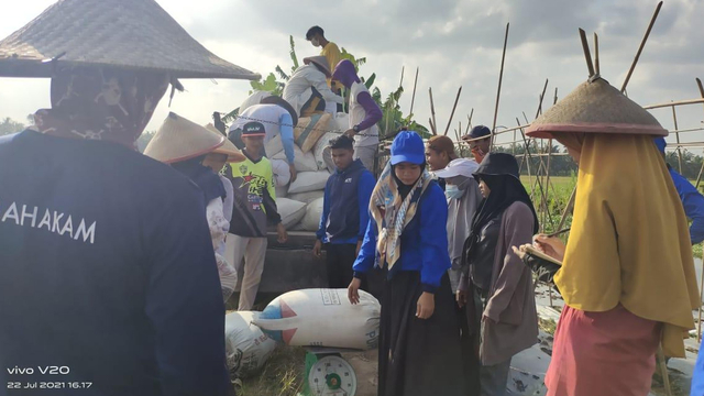 PARA Manol atau buruh angkut padi pada daerah sentra padi di Bungaraya, Siak, Riau, Senin (26/7/2021). 