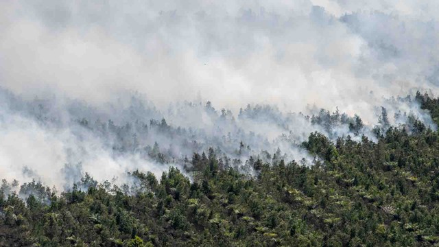 Asap membubung ke udara dari lahan perkebunan kelapa sawit yang terbakar di Pedamaran, Ogan Komering Ilir (OKI), Sumatera Selatan, Senin (26/7/2021). Foto: Nova Wahyudi/ANTARA FOTO