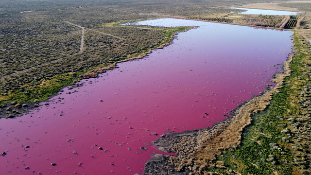 Sungai di Patagonia, Argentina tercemar limbah industri. Foto: Daniel Feldman/AFP