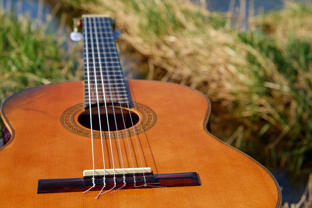 Gitar. (Foto: https://pixabay.com)
