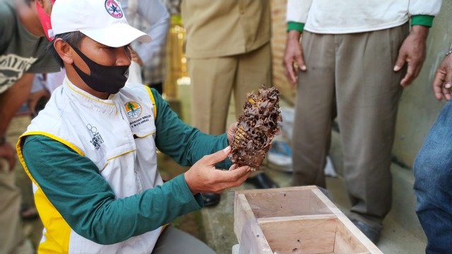 Pelatihan budidaya lebah madu Trigona bagi masyarakat Tegal Yoso oleh YKWS dan Walhi, Kamis (29/7) | Foto : Ist