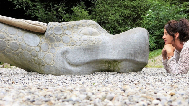 Ilustrasi dalam menghadapi toleransi di kehidupan (pixabay.com/@silviarita)