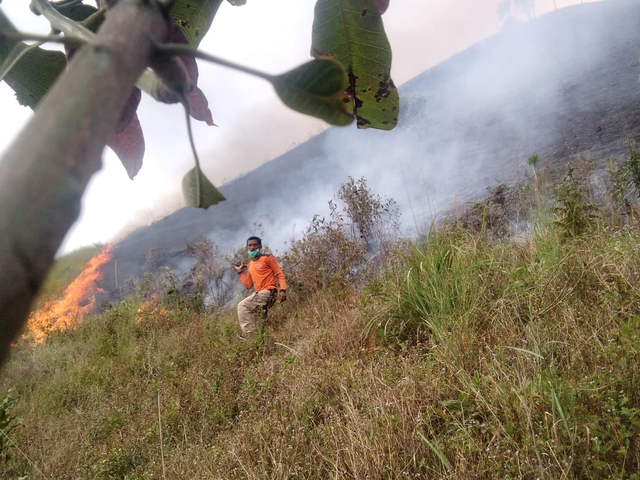 Upaya pemadaman karhutla yang dilakukan satgas BPBD Kab. Dairi, Sumatera Utara, Jumat (30/7). Jenis vegetasi yang terbakar adalah lahan semak belukar. Saat ini api sudah berhasil dipadamkan. Foto: BPBD Kab. Dairi
