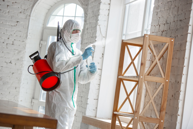 Rekomendasi Jasa Disinfektan Rumah Selama Masa Pandemi. Foto: Dok. Freepik/ master1305