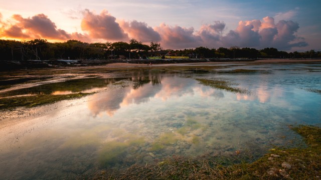 Ilustrasi pasang surut air laut. Foto: Shutter Stock