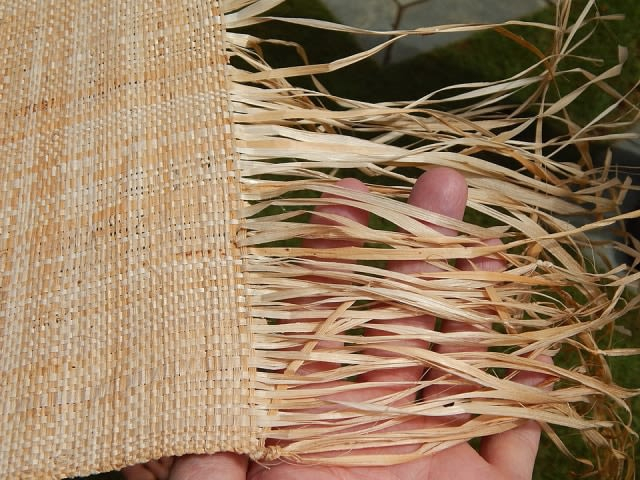 Ilustrasi serat dari batang tumbuhan. Foto: Wikimedia Common