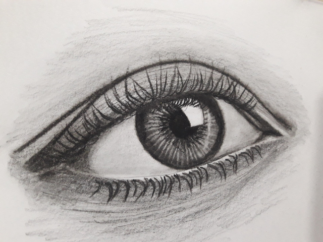 Ilustrasi teknik menggambar. Foto: Unsplash