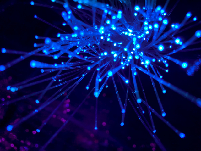 Ilustrasi pengertian VLAN Foto: Unsplash