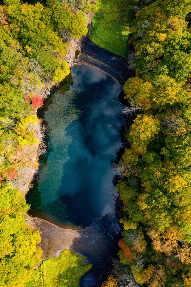 Kagami Numa, Danau bermata Naga di Jepang Foto: Shutter Stock