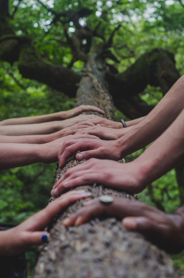 unsplash.com - contoh tanggung jawab sebagai warga masyarakat