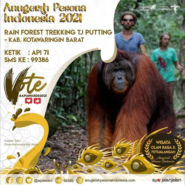 Destinasi wisata Rain Forest Trekking Tanjung Puting di Kotawaringin Barat/InfoPBUN/foto : Dispar Kobar
