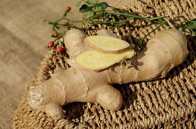 Contoh Perkembangbiakan dengan Vegetatif pada Tumbuhan, Foto: Pixabay 