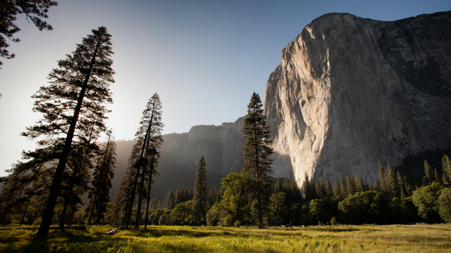 Ilustrasi alam dan lingkungan. Foto: Unsplash.com/adamkool