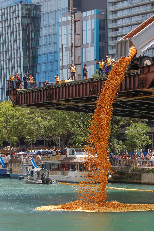 Bebek karet dijatuhkan ke Sungai Chicago untuk memulai Derby Bebek Tahunan ke-16 di Chicago, Illinois, pada 5 Agustus 2021. Foto: KAMIL KRZACZYNSKI/AFP