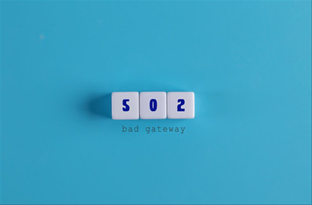 Ilustrasi 502 Bad Gateway. Foto: Jernej Furman via Flickr