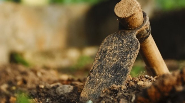 Ilustrasi cangkul. (foto: Shutterstock)