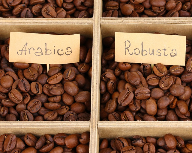 Kopi arabika dan robusta: teman WFH di masa pandemi, suka yang mana? Foto: Shutterstock.