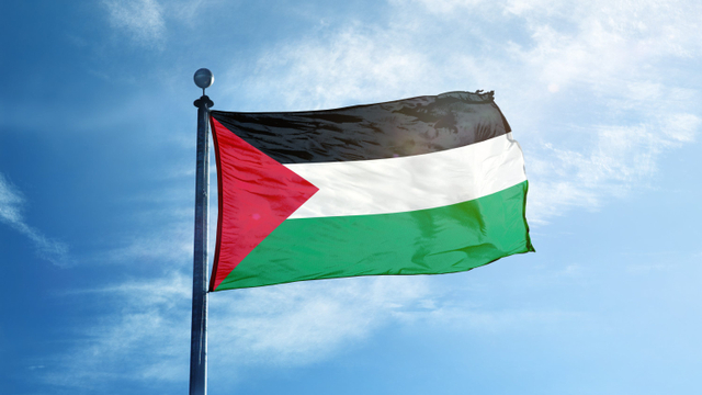 Ilustrasi bendera Palestina. Foto: Shutterstock