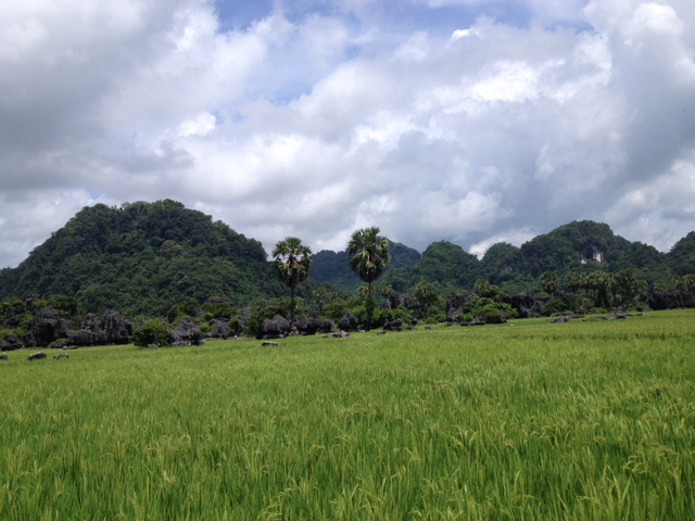 Area persawahan di sekitar wilayah Pangkep, Sulawesi Selatan (Dokumentasi: Edmiraldo)
