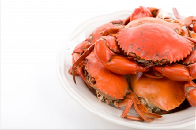 Ilustrasi kepiting yang akan dijadikan masakan kepiting saus tiram. https://www.freepik.com/