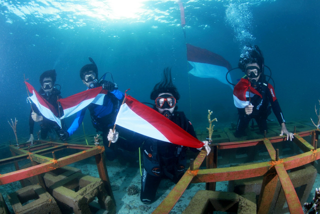 Para penyelam saat peringati HUT ke 76 RI sekaligus menanam karang di perairan Obi, Halmahera Selatan. Foto: Harita Nickel untuk cermat