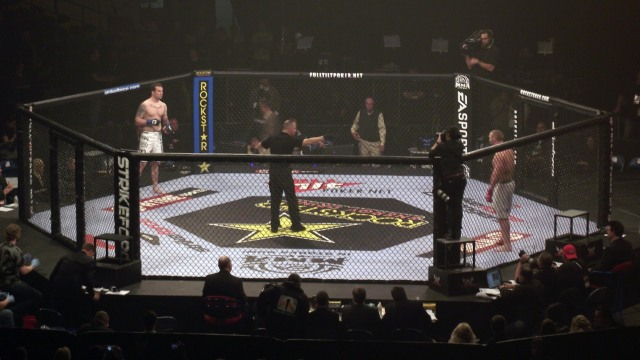 Ilustrasi ring andalan UFC, Octagon. Foto: Wikimedia Commons