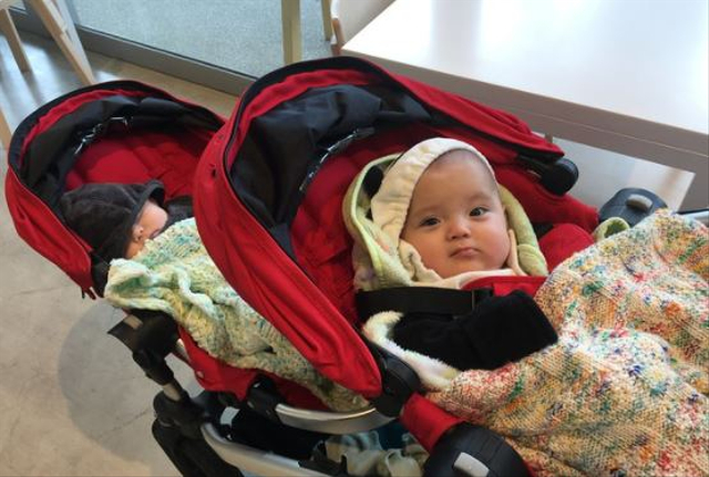 Ilustrasi stroller bayi kembar (Sumber: Pixabay)