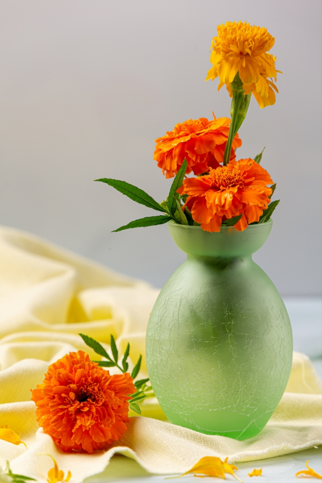 Produk Kecantikan dari Calendula, Apakah Aman untuk Ibu Hamil? Foto: Freepik