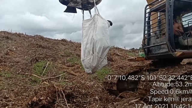 SEEKOR tapir dengan kondisi kaki kanan putus diduga terjerat kabel sling akhirnya dievakuasi menggunakan ekskavator di areal konsesi Hutan Tanaman Industri PT Arara Abadi Distrik Nilo. 