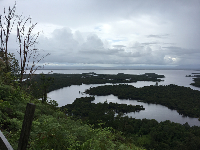 Danau Sentarum Kapuas Hulu, habitat asli Arwana Super Red (sumber foto : koleksi pribadi)