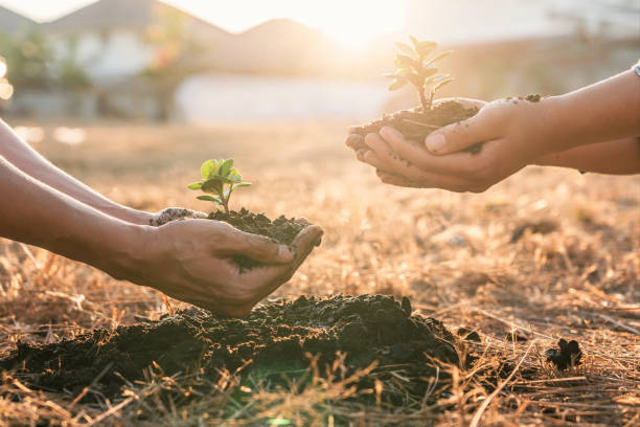 Ilustrasi wujud cinta terhadap lingkungan. Foto: iStock
