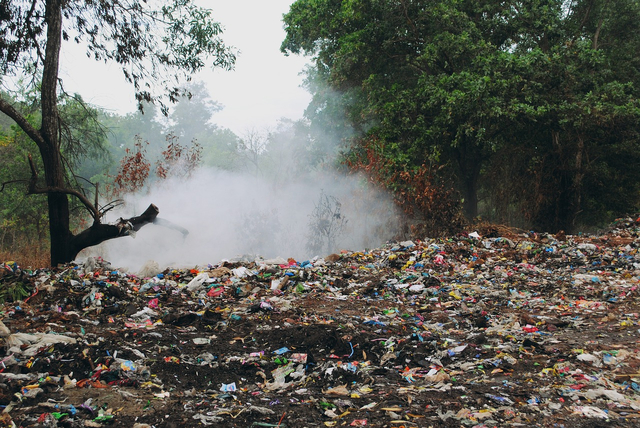 Akibat tidak menjaga kebersihan lingkungan akan berdampak pada kesehatan manusia. Foto: Pixabay