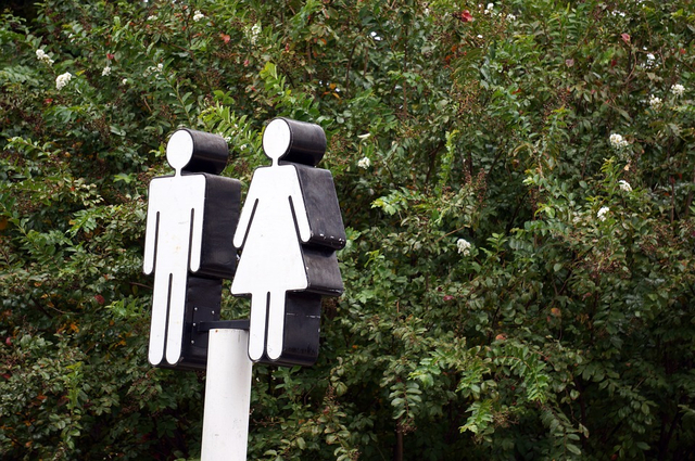 Logo Toilet. Foto: Pixabay