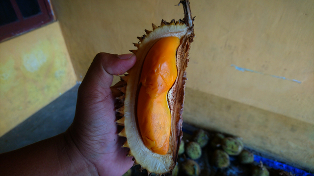 Buah lai popular sekali di Jogja. Foto: Widi Erha Pradana