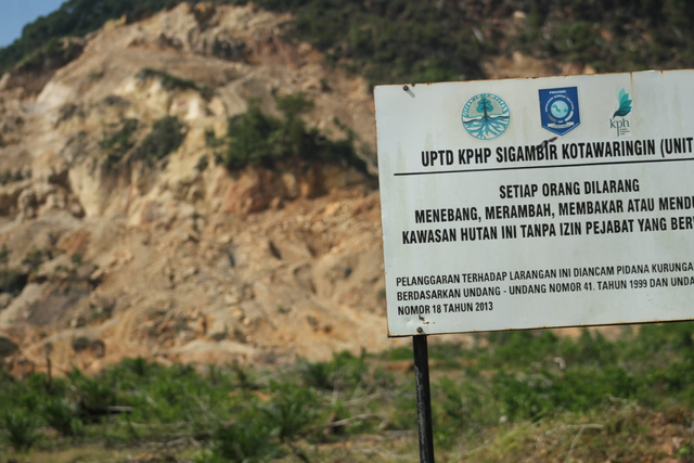Kawasan hutan produksi di Bangka, diduga dirambah oleh aktivitas pertambangan. Sumber foto (januar/faberta)