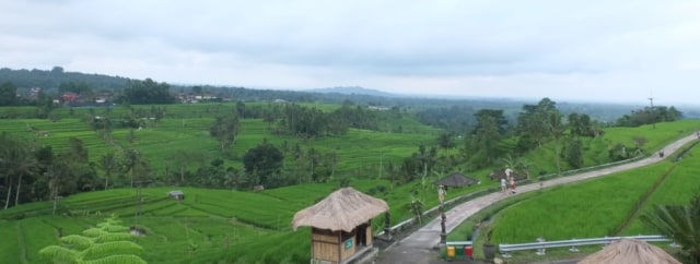 Kawasan subak Jatiluwih di Tabanan Bali yang telah menjadi Warisan Budaya Dunia - IST