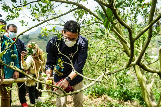 Sandiaga Uno mengunjungi Desa Wisata Saribu Gonjong di Kabupaten Lima Puluh Kota, Sumatera Barat pada Sabtu (28/8). Foto: Dok. Kemenparekraf