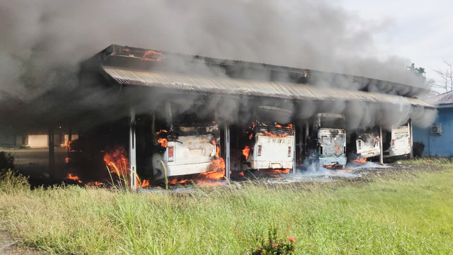 Lima bus milik Dinas Perhubungan Nabire terbakar. (Dok Humas Polda Papua) 
