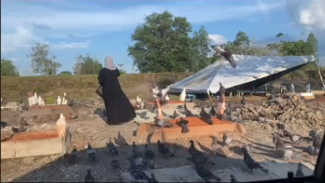 Burung di pemakaman. (Foto: @zannajeffry/TikTok)