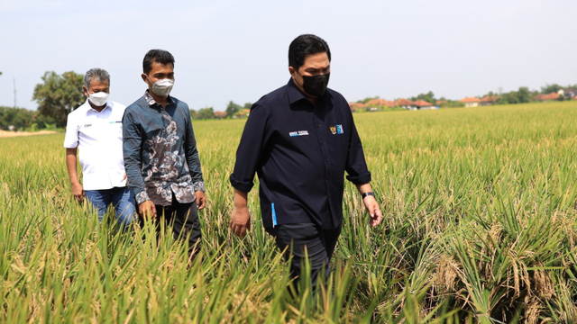 Menteri BUMN Erick Thohir bersama Direktur Utama BRI Sunarso melihat keberadaan penggilingan padi yang strategis dalam memasok kebutuhan beras di Jawa Barat. Foto: Dok. BRI
