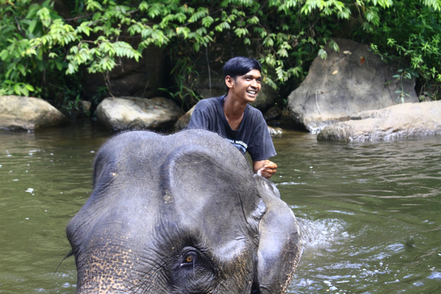 Yusrizal dan Gajah Sisca. Foto: Siti Aisyah/acehkini