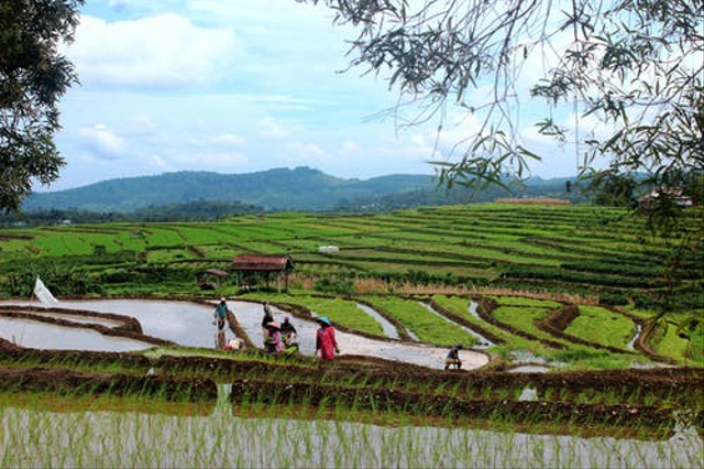 Bagaimana Cara Kita Mencegah Bencana Kekeringan?, Foto: Pexels 
