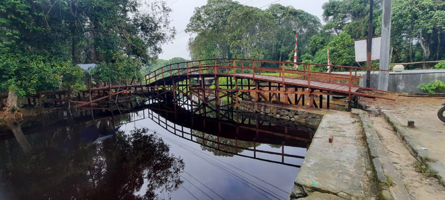 Jembatan wisata yang ada di Desa Pasir Panjang, Kotawaringin Barat/InfoPBUN/foto: IST