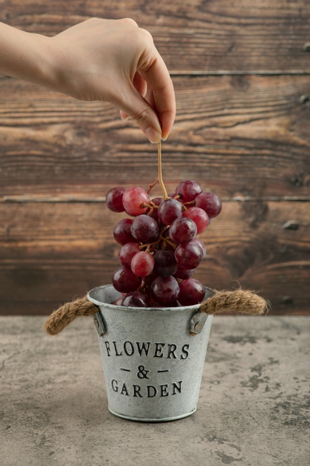 Tips Aman Makan Buah Anggur saat Menyusui Foto: Freepik