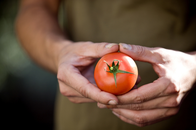 Ilustrasi pria konsumsi tomat untuk kesuburan. Foto: Shutter Stock