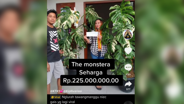 tangkapan layar video Tiktok yang diunggah oleh akun @kipllivariasi.