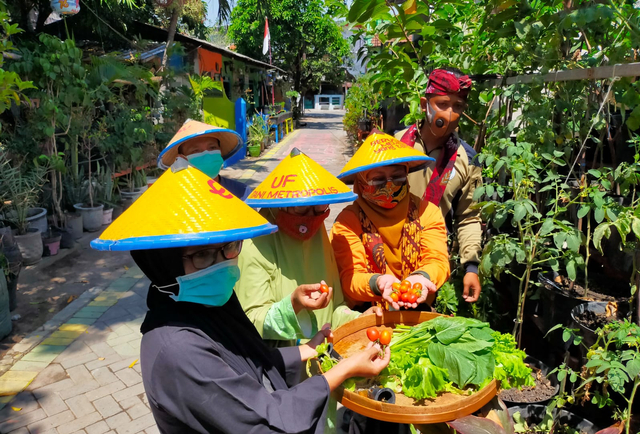Warga Kampung Songo sedang memanen sayuran hasil urban farming. Foto-foto: Masruroh/Basra